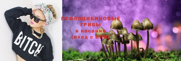 гидропоника Белокуриха