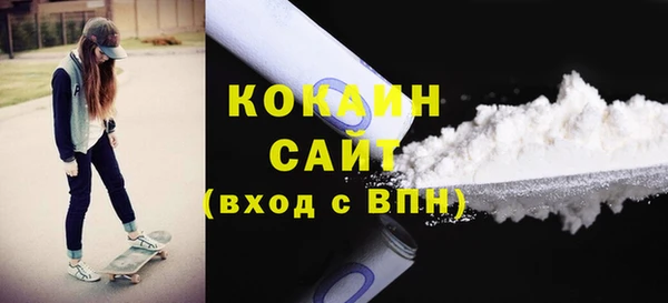 ECSTASY Тайга