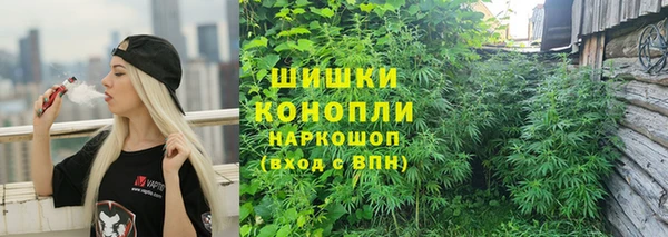 гидропоника Белокуриха