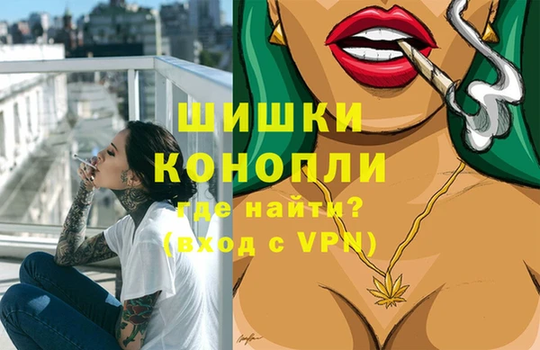гидропоника Белокуриха