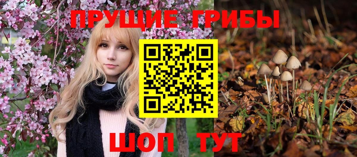 Псилоцибиновые грибы ЛСД Горячий Ключ