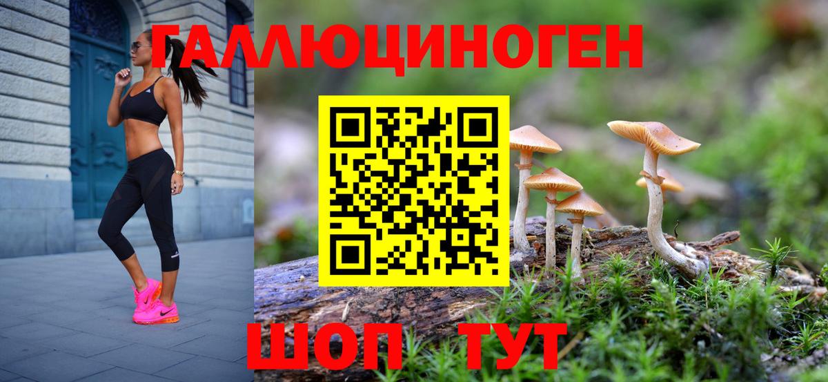 Галлюциногенные грибы Psilocybe Горячий Ключ