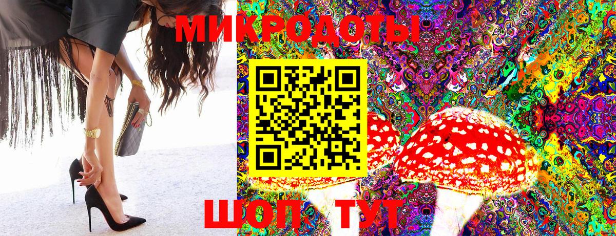 Галлюциногенные грибы Cubensis  Горячий Ключ  Псилоцибиновые грибы Psilocybe 